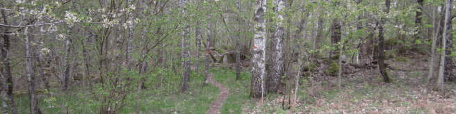 Gångstig Östgötaleden