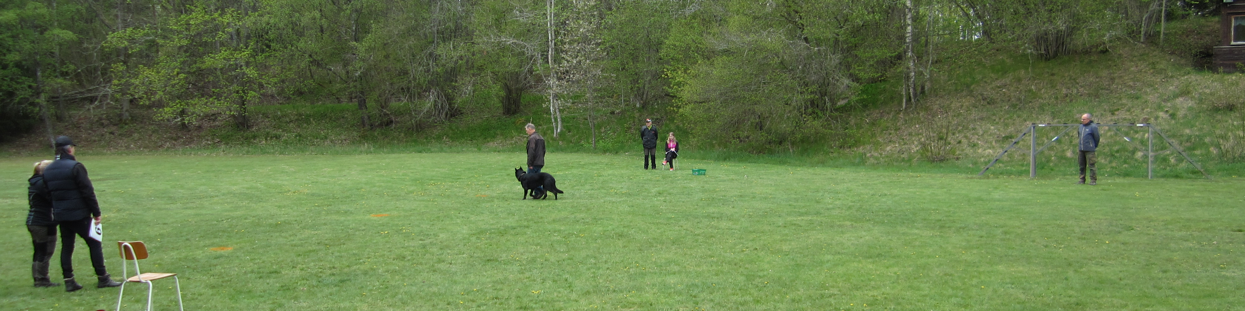 Lydnadsmoment tävling